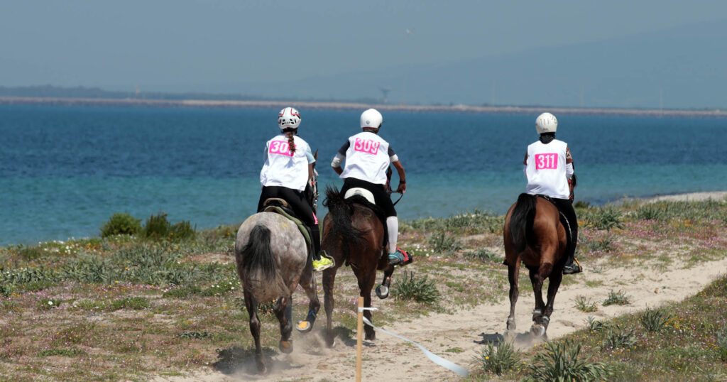 Sardegna Endurance Festival 2024